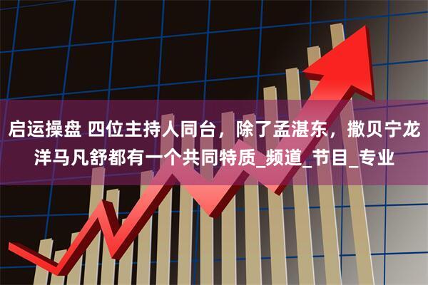 启运操盘 四位主持人同台，除了孟湛东，撒贝宁龙洋马凡舒都有一个共同特质_频道_节目_专业