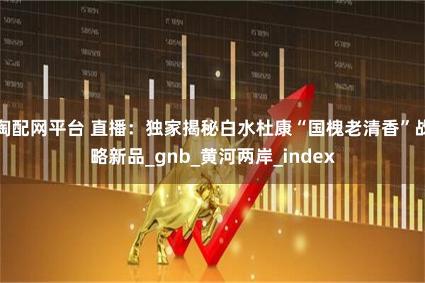 淘配网平台 直播：独家揭秘白水杜康“国槐老清香”战略新品_gnb_黄河两岸_index